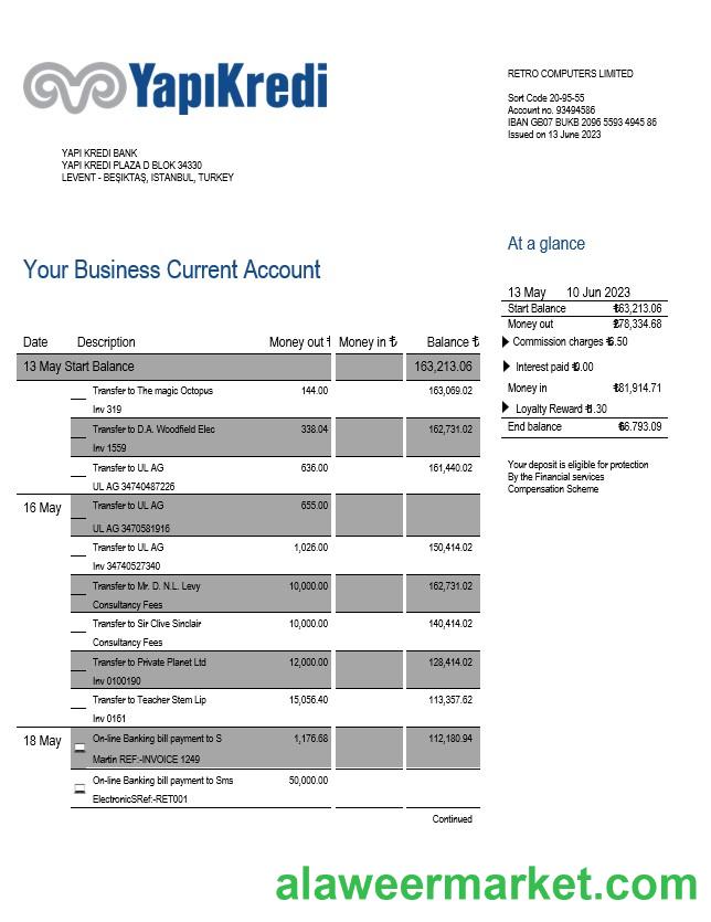 Yapi Kredi Bank organization account statement Word and PDF template